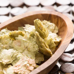 Hops Flowers Whole